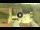 Webcam in Split, 0.1 mi away