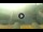 Webcam in Spalato, 16.9 km