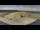 Webcam in Urville-Nacqueville, 8.4 km entfernt