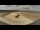 Webcam in Urville-Nacqueville, 9.9 km
