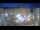 Webcam in Gap, 0.3 km