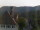 Webcam in Alpirsbach, 19.7 km