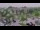 Webcam in Frederick, Maryland, 73.5 km