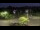 Webcam in Frederick, Maryland, 41.8 km