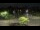 Webcam in Frederick, Maryland, 25.4 km