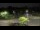 Webcam in Frederick, Maryland, 16.2 mi away