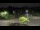 Webcam in Frederick, Maryland, 58.8 km