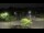 Webcam in Frederick, Maryland, 16.5 mi away