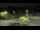 Webcam in Frederick, Maryland, 21.1 mi away