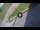 Webcam in Prati di Tivo, 4.5 mi away