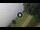 Webcam in Prati di Tivo, 37.2 km
