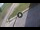 Webcam in Prati di Tivo, 5.4 km