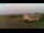 Webcam in Aschersleben, 35.4 km