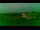 Webcam in Aschersleben, 44.4 km