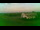 Webcam in Aschersleben, 33.3 km entfernt