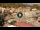 Webcam in Isola del Giglio, 0.2 km