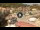 Webcam in Giglio Porto (Isola del Giglio), 18.6 km entfernt