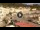 Webcam in Isola del Giglio - Giglio Porto, 27.9 km