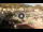 Webcam in Giglio Porto (Isola del Giglio), 0.2 km