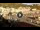 Webcam in Giglio Porto (Isola del Giglio), 0.1 mi away