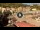 Webcam in Giglio Porto (Isola del Giglio), 0.1 mi away