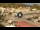 Webcam in Isola del Giglio - Giglio Porto, 27.9 km
