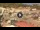 Webcam in Isola del Giglio - Giglio Porto, 3.4 km