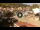 Webcam in Giglio Porto (Isola del Giglio), 9.8 mi away