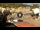Webcam in Giglio Porto (Isola del Giglio), 1.7 km entfernt