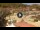 Webcam in Giglio Porto (Isola del Giglio), 10.9 mi away