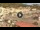 Webcam in Giglio Porto (Isola del Giglio), 28.2 km