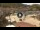 Webcam in Giglio Porto (Isola del Giglio), 0.1 km entfernt