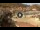 Webcam in Giglio Porto (Isola del Giglio), 18.7 km entfernt