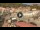 Webcam in Isola del Giglio - Giglio Porto, 0.1 km