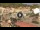 Webcam in Isola del Giglio - Giglio Porto, 28.3 km