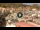 Webcam in Isola del Giglio - Giglio Porto, 0.1 km