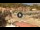 Webcam in Isola del Giglio - Giglio Porto, 25.3 km
