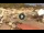 Webcam in Giglio Porto (Isola del Giglio), 2.6 km entfernt