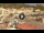 Webcam in Giglio Porto (Isola del Giglio), 0.1 km
