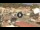 Webcam in Giglio Porto (Isola del Giglio), 1 mi away