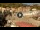 Webcam in Giglio Porto (Isola del Giglio), 18.2 mi away