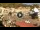 Webcam in Isola del Giglio, 2.6 km