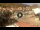 Webcam in Giglio Porto (Isola del Giglio), 27.9 km