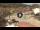 Webcam in Giglio Porto (Isola del Giglio), 0 km