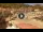 Webcam in Giglio Porto (Isola del Giglio), 0.1 km entfernt