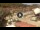 Webcam in Giglio Porto (Isola del Giglio), 18.4 km entfernt