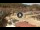 Webcam in Isola del Giglio - Giglio Porto, 18.7 km