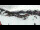Webcam sur le Klausberg, 1.1 km