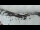 Webcam sur le Klausberg, 7.1 km