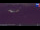Webcam in Kronplatz, 0.1 km
